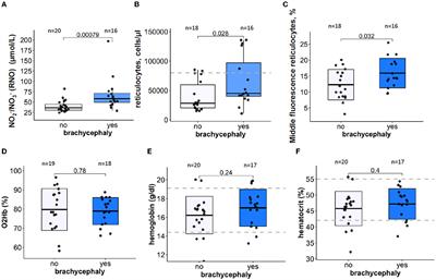 Differences in selected blood parameters between brachycephalic and non-brachycephalic dogs